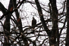 Killikus&reg; Fotographie